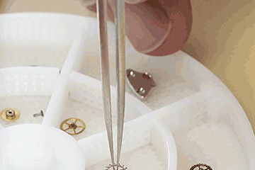 温州百达翡丽表为什么不走字了